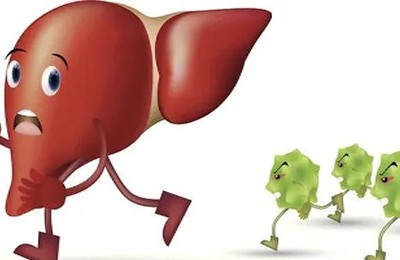 glycyrrhizic acid protects the liver glycyrrhizic acid protects the liver