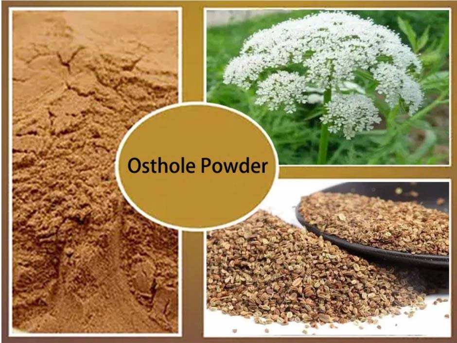 Osthole Powder 2 Osthole Powder 2