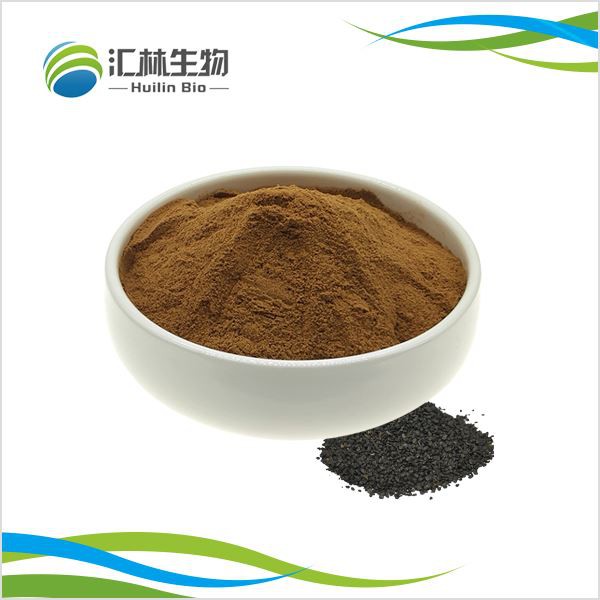 Ekstrakt z nasion pora w proszku